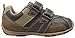 pediped Flex Frank Casual Sneaker (Toddler/Little Kid/Big Kid)
