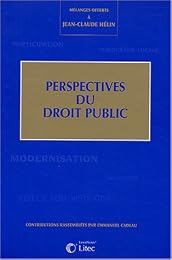 Perspectives du droit public