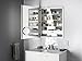 KOHLER K-99007-TL-NA Verdera 24 inch x 30 inch LED Lighted Bathroom Medicine Cabinet, Slow Close Hinge, Internal Magnifying Mirror; Aluminum; Recess or Surface Mount
