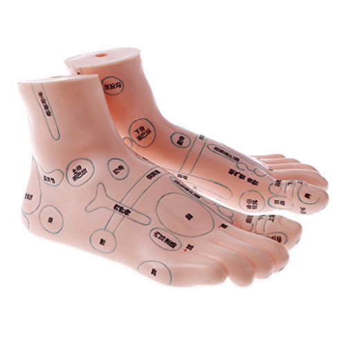 image for Fityle Pair of Human Feet Acupoint Model for Reflexology & Acupuncture