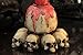 PTC 3.75 Inch Multiple Skulls Hand Painted Resin Candle Holder, Beige