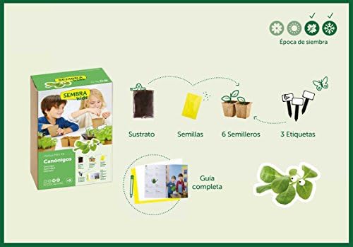 SEMBRA - juego educativo, Kit huerto Verduras de invierno: Amazon ...