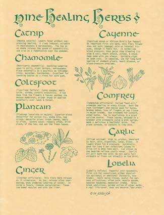 "Nine Healing Herbs" Parchment Poster