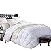 Cal King Size 1200 Thread-Count Siberian Goose Down Comforter, 100% Egyptian Cotton, White Stripe, 50Oz