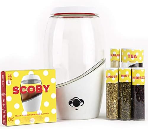 Mortier Pilon – Kombucha Premium Starter Kit (COMPLETE KIT) – Everything You Need to Make Kombucha at Home