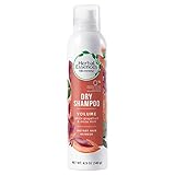 Herbal Essences Biorenew White Grapefruit & Mosa Mint Dry Shampoo, 4.9 FL OZ