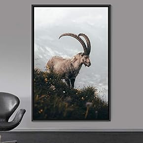 signwin Framed Canvas Wall Art Goat Animals Expressive...