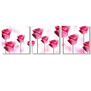 Canvas Wall Art Beautiful Flowers Collections Picked Painting Artwork for Home Prints Framed - 12"x12"x3 Panels