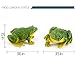 Apipi 2 Pcs Realistic Miniature Frog Garden Statue- 3.5 × 1.5 Inch Mini Green Frog Figurine Statue Model Resin Frog Sculptures Indoor Outdoor Decor for Fairy Garden Decoration, Patio Yard Ornament