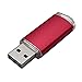 RAOYI 10PCS 1G USB Flash Drive USB 2.0 Memory Stick Bulk Thumb Drive Pen Drive Jump Drive-Red