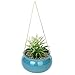 Mediterranean Style Round Cerulean Succulent Hanging Planter Pot with Twisted Jute Twine Rope