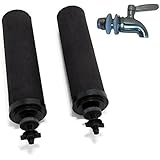 Berkey water filter replacement