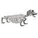Halloween Decoration 23” Pose-N-Stay Wiener Dog Skeleton Plastic Puppy Bones with Posable Joints for Pose Skeleton Prop Indoor/Outdoor Spooky Scene Party Favors Décor.