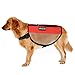 Petroad Service Dog Vest Harness Dog Backpack Pet Carrier Red Mesh Harness with D-Ring for Leashes or ID-Tags, Keeps Your Dog Comfortable (Red, Medium, 15