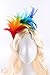 FELIZHOUSE 1920s Fascinator with Feathers Headband for Women Wedding Tea Party Headwear (Rainbow)