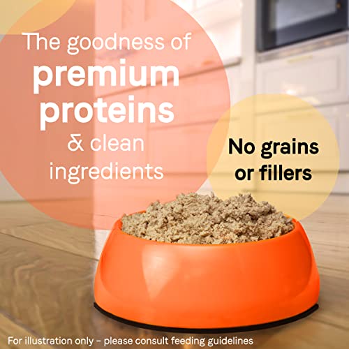 Canidae PURE Limited Ingredient Premium Wet Dog Food, Salmon and Sweet Potato Recipe, 13 Ounce