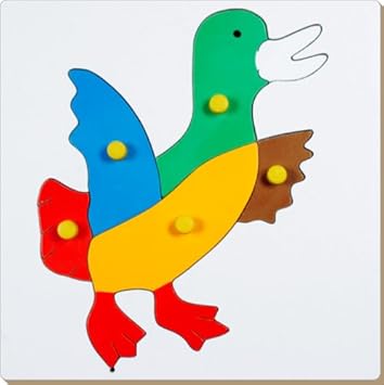 Little Genius Duck