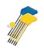 Champion Sports HS10SET Rhino Skin Soft Hockey Set,30