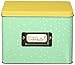 American Crafts Sweet Sugarbelle Recipe Card Tin by Light Green