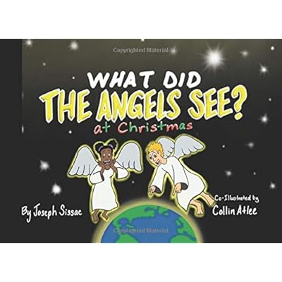 What Did The Angels See At Christmas? What Did The Angels See At Christmas?