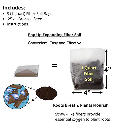 Pop Up Microgreens Kit (Broccoli) - Just Add Water and Seed. Perfect Size, a Quick, Smart, Nutritious Meal. Includes Fiber Soil in a Bag, Broccoli Seed. Super Health Benefits, Easy Grow/Delicious. - Thumbnail 2