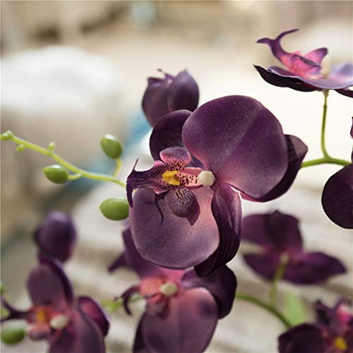 YSZL Large Artificial Potted Orchid Plant, Silk Flower Arrangement with Ceramics Vase, Dark