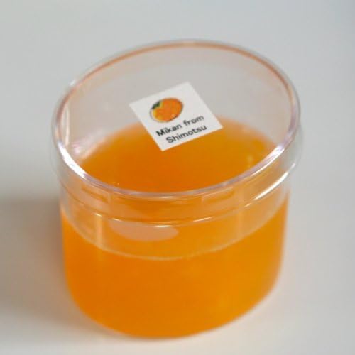 Mini-cup jelly Suites of Wakayama seasonal fruit jelly Shimotsu cho Ueyama's oranges
