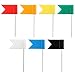 SUBANG 160 Pieces Flag Push Pins Flag Map Pins, 8 Boxes Flag Colorful Map Tacks Push Tacks for Learning Working