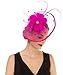 Lucky Leaf Women Girl Fascinators with Hair Clip Hairpin Hat Bowknot Feather Flower Veil Cocktail Wedding Tea Party Hat (8-Fuschia)