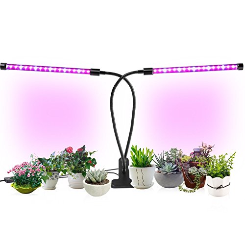 Indoor Plant Grow Lights, Timing Led Grow Light, 36 LED 5 Dimmable Levels Grow lamp with Red/Blue Spectrum, Adjustable Gooseneck, 3/6/12H Timer, 3 Switch Modes (Best Colleges For Jews)