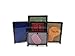Lkous Classic 3D Art Sculpture Plastic Pin Art Pinart Impression Board Desktop Office Toy Kids Children Gift(4.92