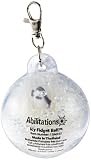 Abilitations Icy FidgetBall