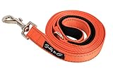 Buddy & Co. Nylon Dog Leash with Reflective Stitching for Nighttime Visibility (3/4-Inch Wide, 6ft Long) - Best for Small to Medium Dogs - Hot Orange Color