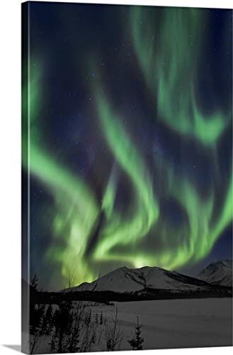 Amazon Co Jp オーロラxivギャラリー バリエーション 24 X 36 1 24x36 None ホーム キッチン