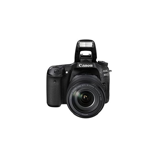 Canon EOS 80D DSLR Digitalkamera inkl. EF-S 18-135mm F3.5-5.6 is USM Objektiv (24,2 Megapixel, 7,7 cm (3 Zoll) Display… – Bild 4