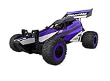 ToyPark 2.4GHz Remote Control Racing Car High Speed Vehicle with Spring Shock Absorbers