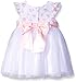 Little Me Baby Girls' Rose Lace Mesh Dress and Panty Set