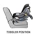 Chicco Fit2 Infant & Toddler Car Seat, Tempo