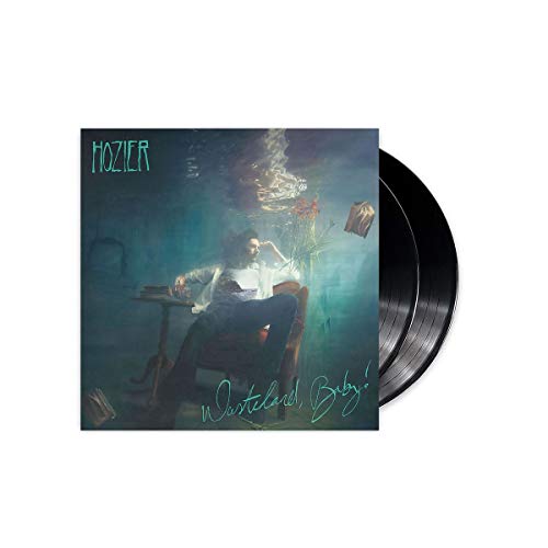 Album Art for Wasteland Baby! by Hozier