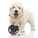 SunGrow Dog Treat Dispenser Toy Ball, 4 Inches Diameter with 0.7 Inches Opening for Treats, Food Puzzle Ball, IQ Enhancer, Boredom Buster, for Cats and Dogs, Great Way to Feed Your Pets, 1 Pack primary