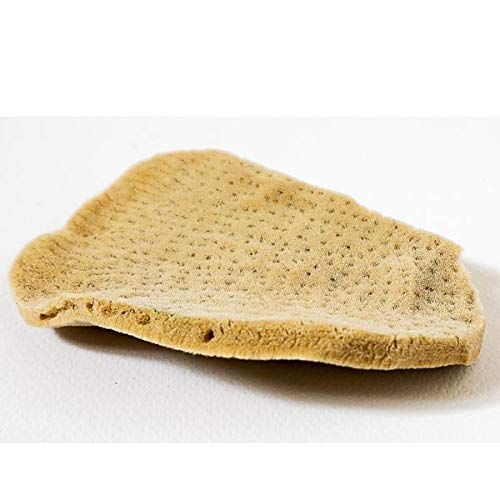 ARTIST ELEPHANT EAR NATURAL SPONGE (10x7 cm aprox.)