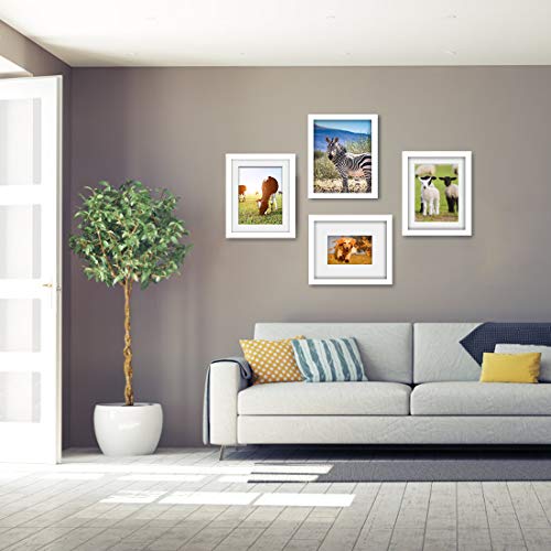 Decorative Photo Frame Set, 4 Piece Wall mounting Frame, High