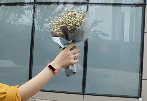 2 Fundro+Replacement+Compatible+Wristband+Buckle%25EF%25BC%258810