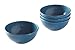 EVO Sustainable Goods 16 oz. Bowl Set, Blue
