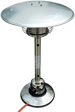 Modern Design Outdoor Propane Patio Heater (Max 4,000W, Finish: Stainless Steel)