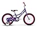 Raleigh Bikes Girls Jazzi 16 Bike, One Size, Purple