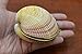Cardium Pesodolima Sea Shell Trinket Box Purse