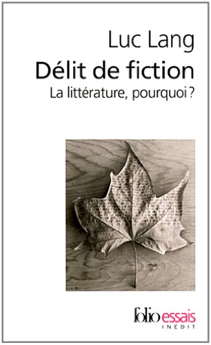 Délit de fiction