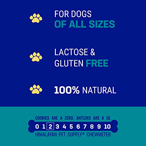 Himalayan Dog Chew Happy Teeth Yak Cheese Dog Chews Dental Chews, 100