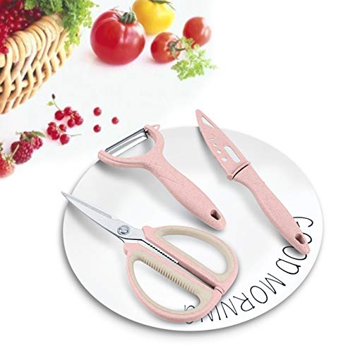 Vegetable Peeler Set of 3,Stainless Steel Blades with Wheat Straw Non-Slip Handles,Multifunction Kitchen Tool Set, Includes Fruit Knife,Peeler, Kitchen Shears,Pink